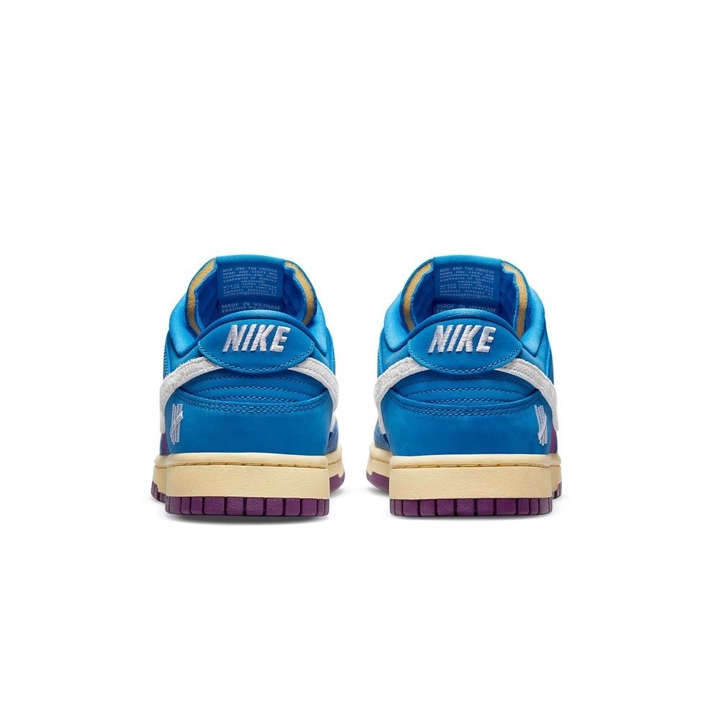 SB DUNK LOW,SB DUNK,NIKE SHOES,DH6508-400