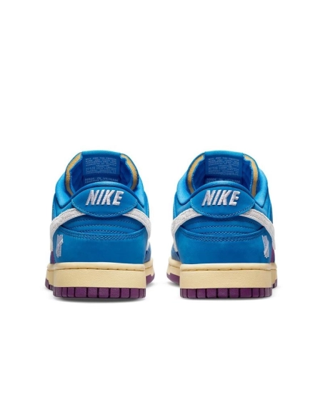 SB DUNK LOW,SB DUNK,NIKE SHOES,DH6508-400