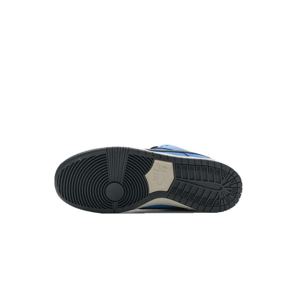 SB DUNK LOW,SB DUNK,NIKE SHOES,CZ5128-400