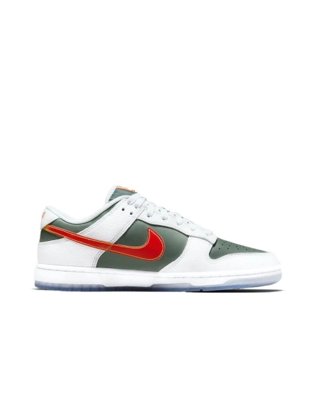 SB DUNK LOW,SB DUNK,NIKE SHOES,DN2489-300