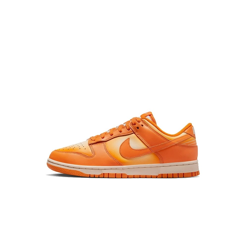 SB DUNK LOW,SB DUNK,NIKE SHOES,DX2953-800