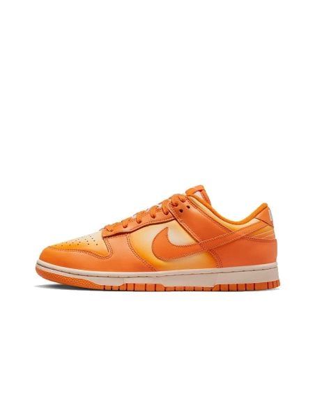 SB DUNK LOW,SB DUNK,NIKE SHOES,DX2953-800