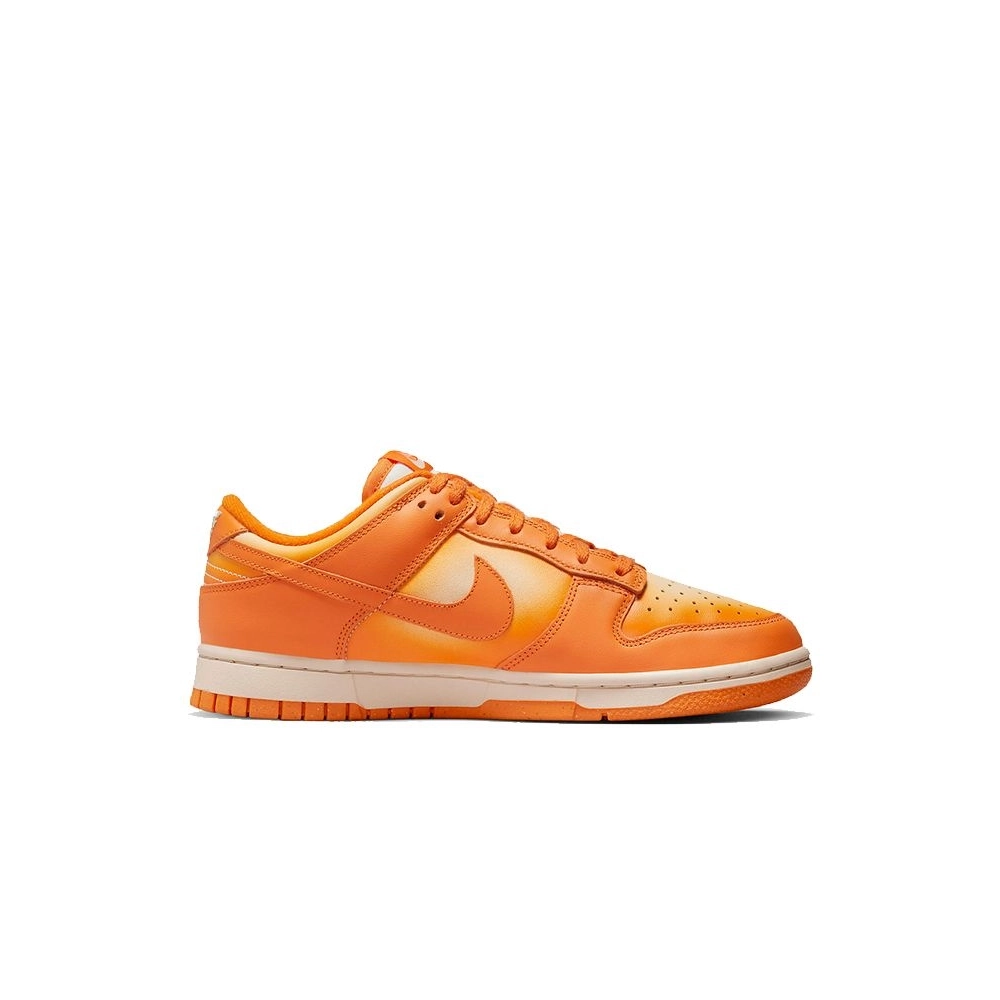 SB DUNK LOW,SB DUNK,NIKE SHOES,DX2953-800