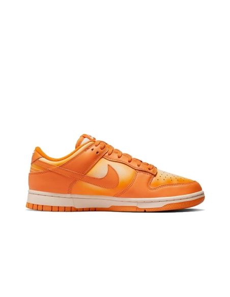 SB DUNK LOW,SB DUNK,NIKE SHOES,DX2953-800