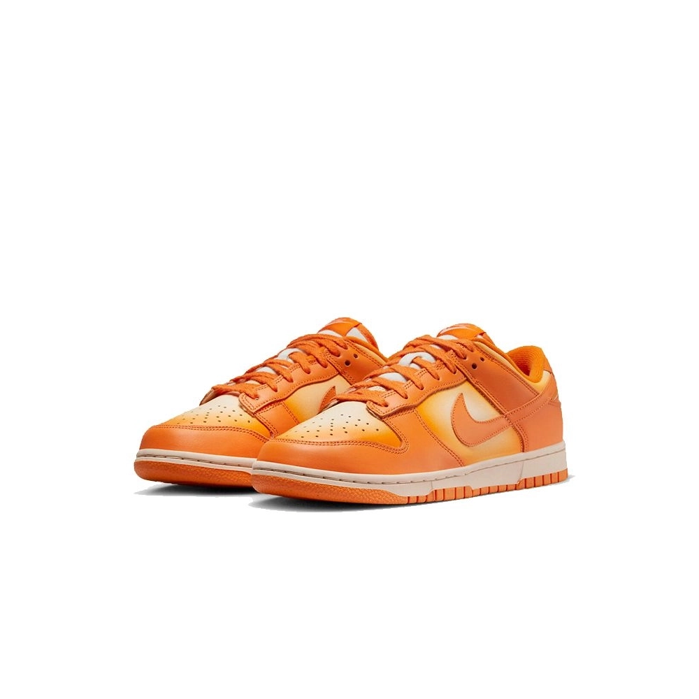 SB DUNK LOW,SB DUNK,NIKE SHOES,DX2953-800
