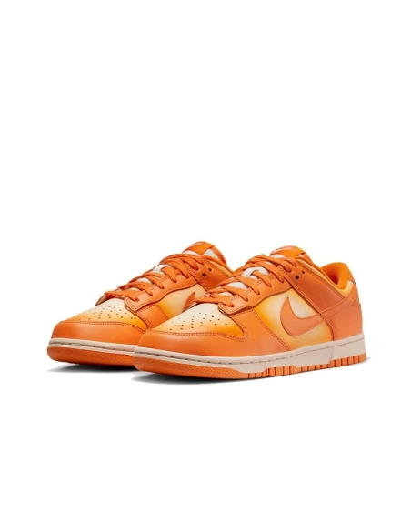 SB DUNK LOW,SB DUNK,NIKE SHOES,DX2953-800