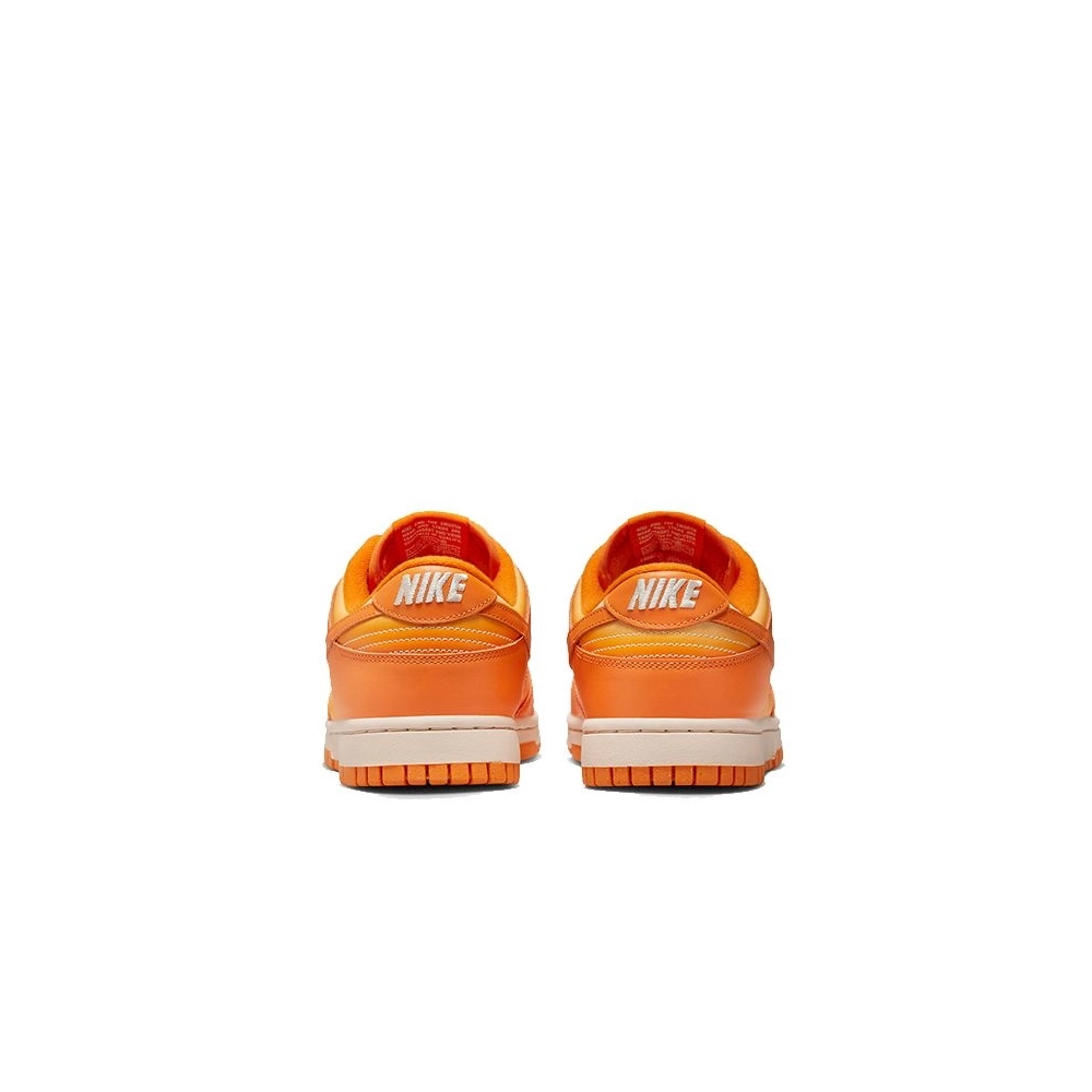 SB DUNK LOW,SB DUNK,NIKE SHOES,DX2953-800