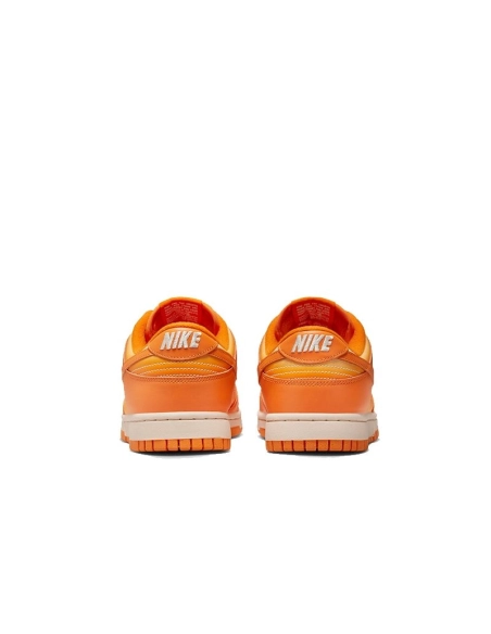 SB DUNK LOW,SB DUNK,NIKE SHOES,DX2953-800