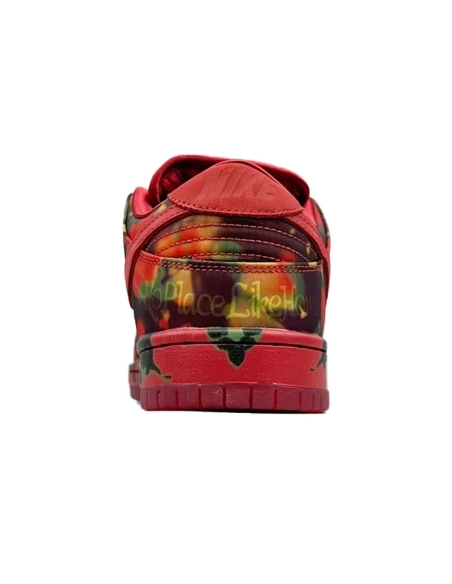 SB DUNK LOW,SB DUNK,NIKE SHOES,FZ1291-600