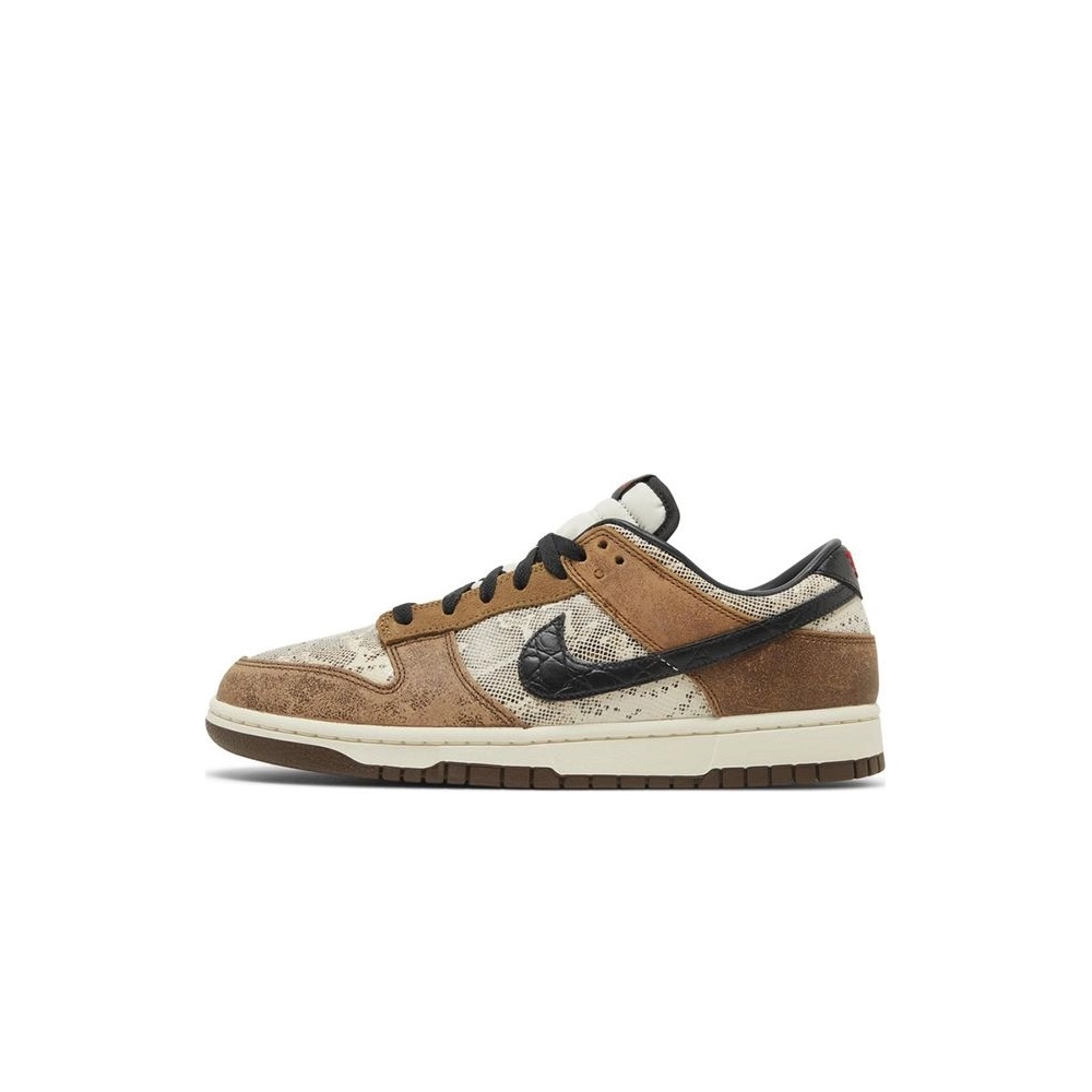 SB DUNK LOW,SB DUNK,NIKE SHOES,FJ5434-120