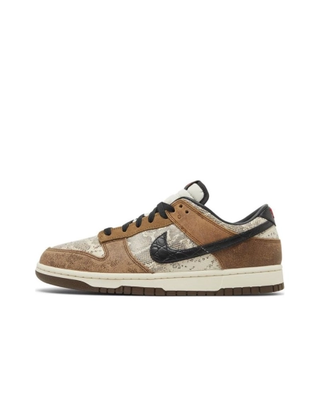SB DUNK LOW,SB DUNK,NIKE SHOES,FJ5434-120