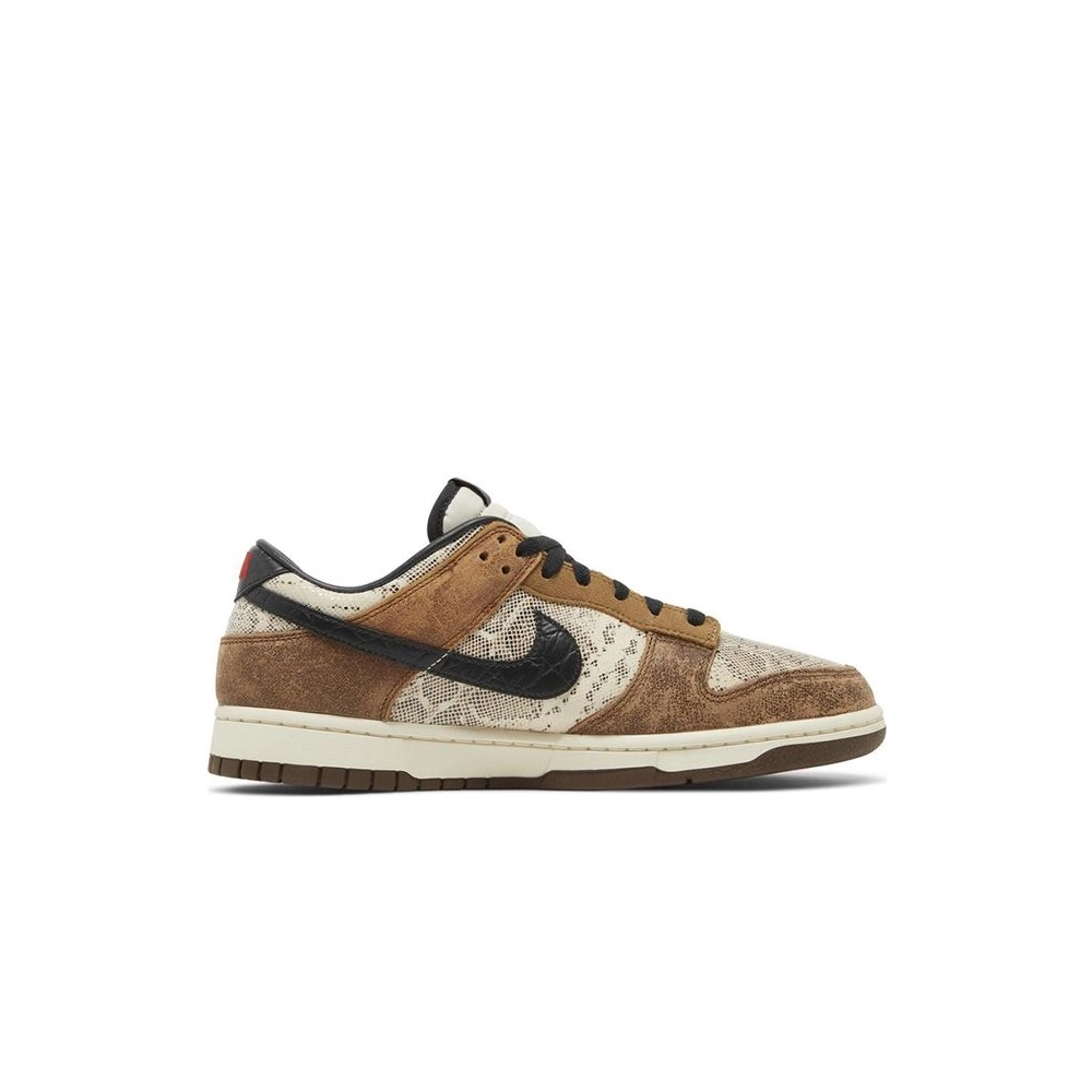 SB DUNK LOW,SB DUNK,NIKE SHOES,FJ5434-120