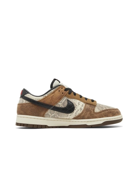 SB DUNK LOW,SB DUNK,NIKE SHOES,FJ5434-120