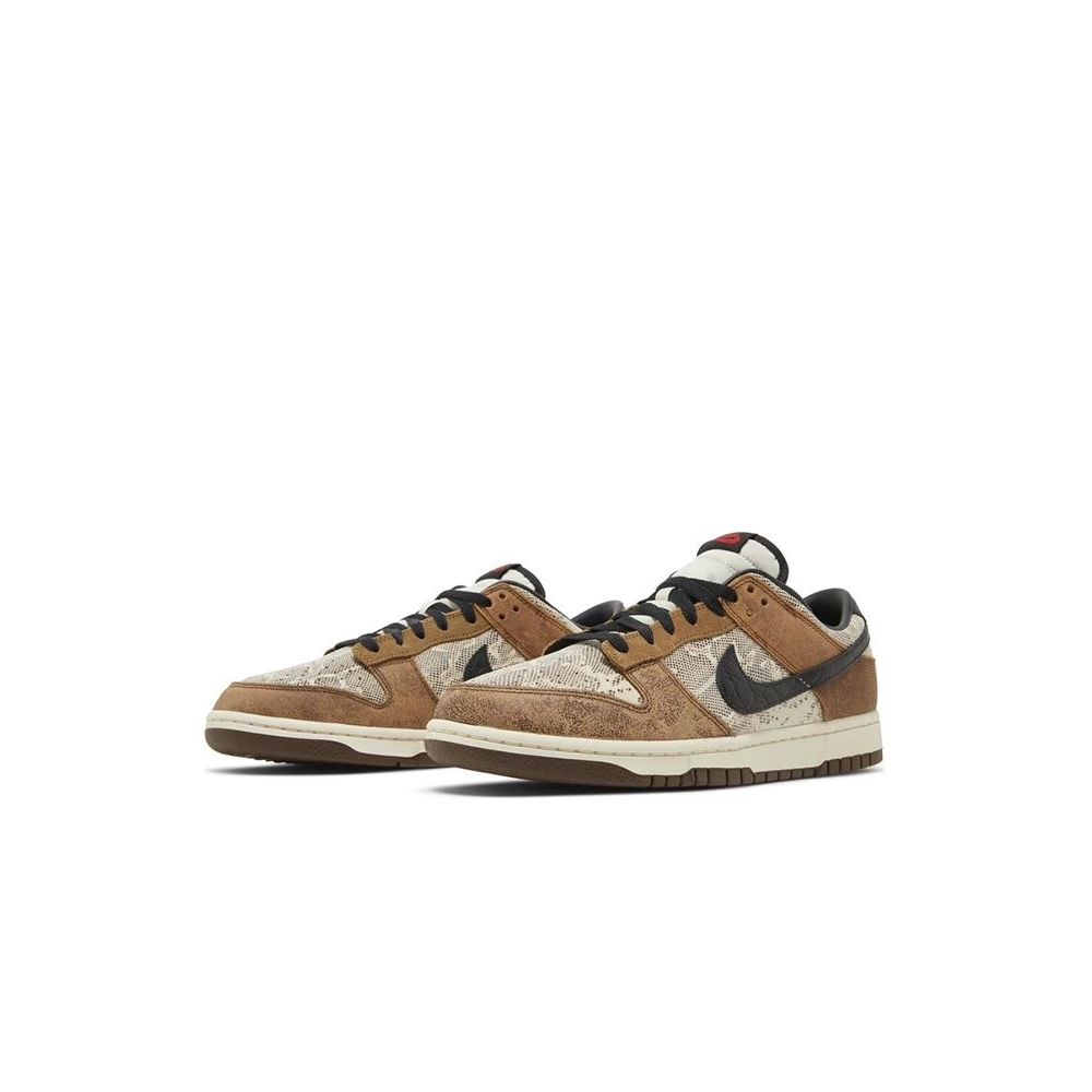 SB DUNK LOW,SB DUNK,NIKE SHOES,FJ5434-120