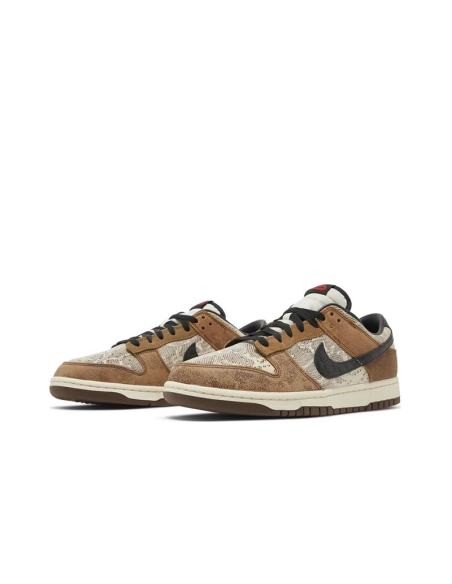 SB DUNK LOW,SB DUNK,NIKE SHOES,FJ5434-120