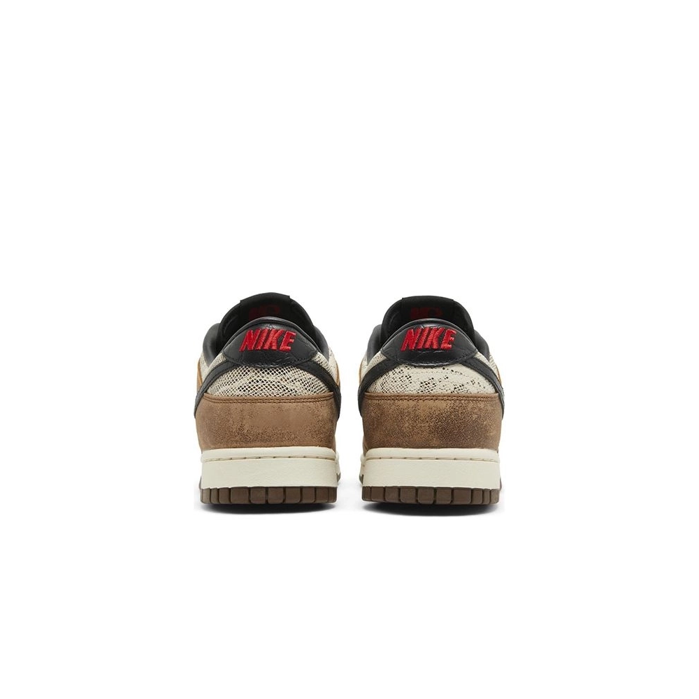 SB DUNK LOW,SB DUNK,NIKE SHOES,FJ5434-120