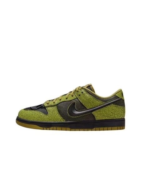 SB DUNK LOW,SB DUNK,NIKE SHOES,HV6103-300