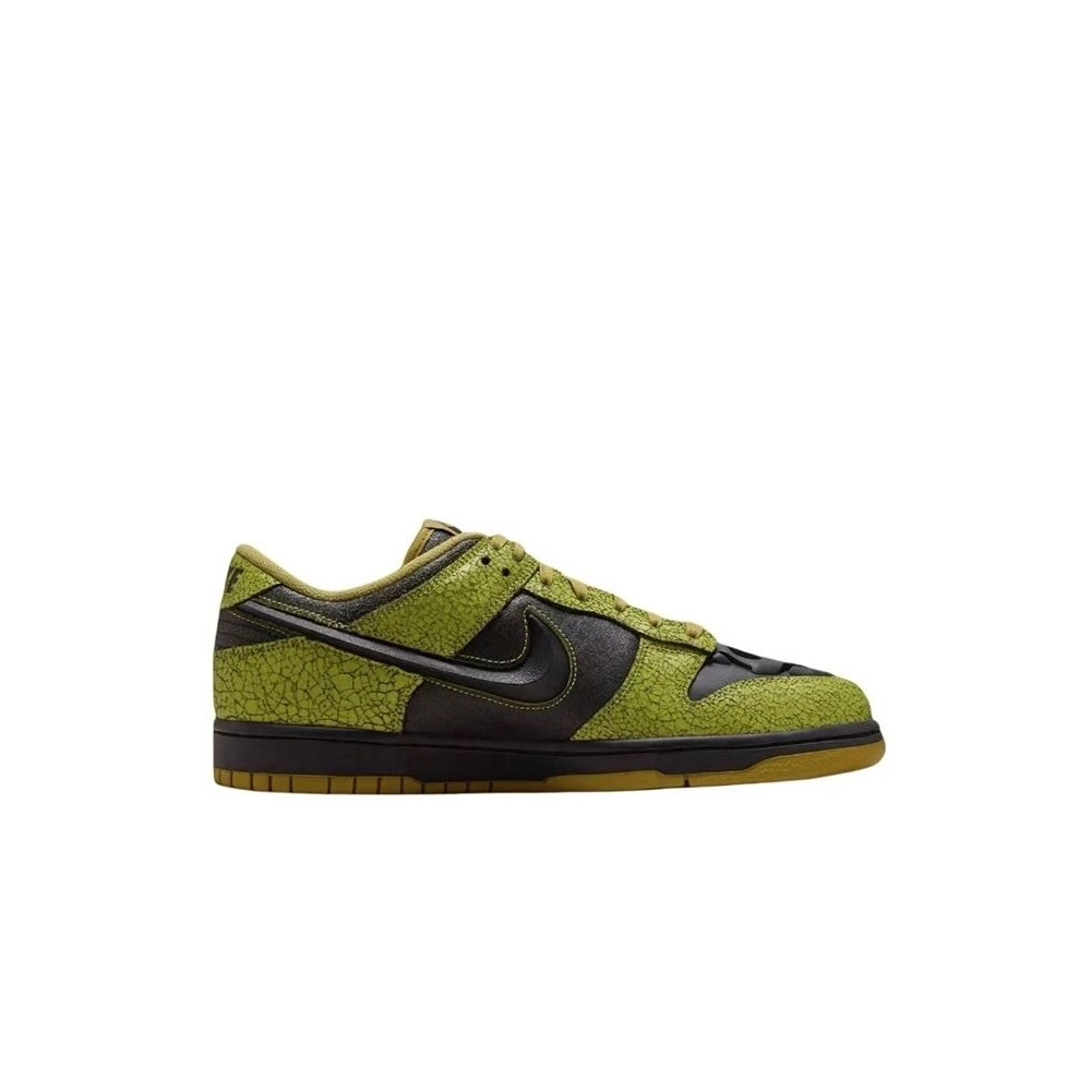 SB DUNK LOW,SB DUNK,NIKE SHOES,HV6103-300