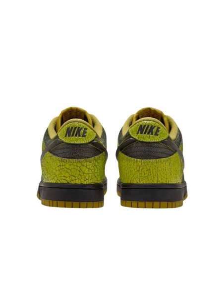 SB DUNK LOW,SB DUNK,NIKE SHOES,HV6103-300