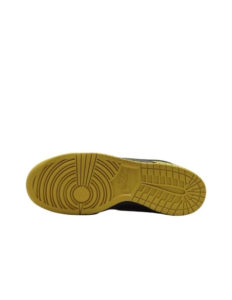 SB DUNK LOW,SB DUNK,NIKE SHOES,HV6103-300