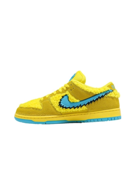 SB DUNK LOW,SB DUNK,NIKE SHOES,CJ5378-700