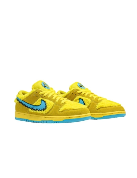 SB DUNK LOW,SB DUNK,NIKE SHOES,CJ5378-700