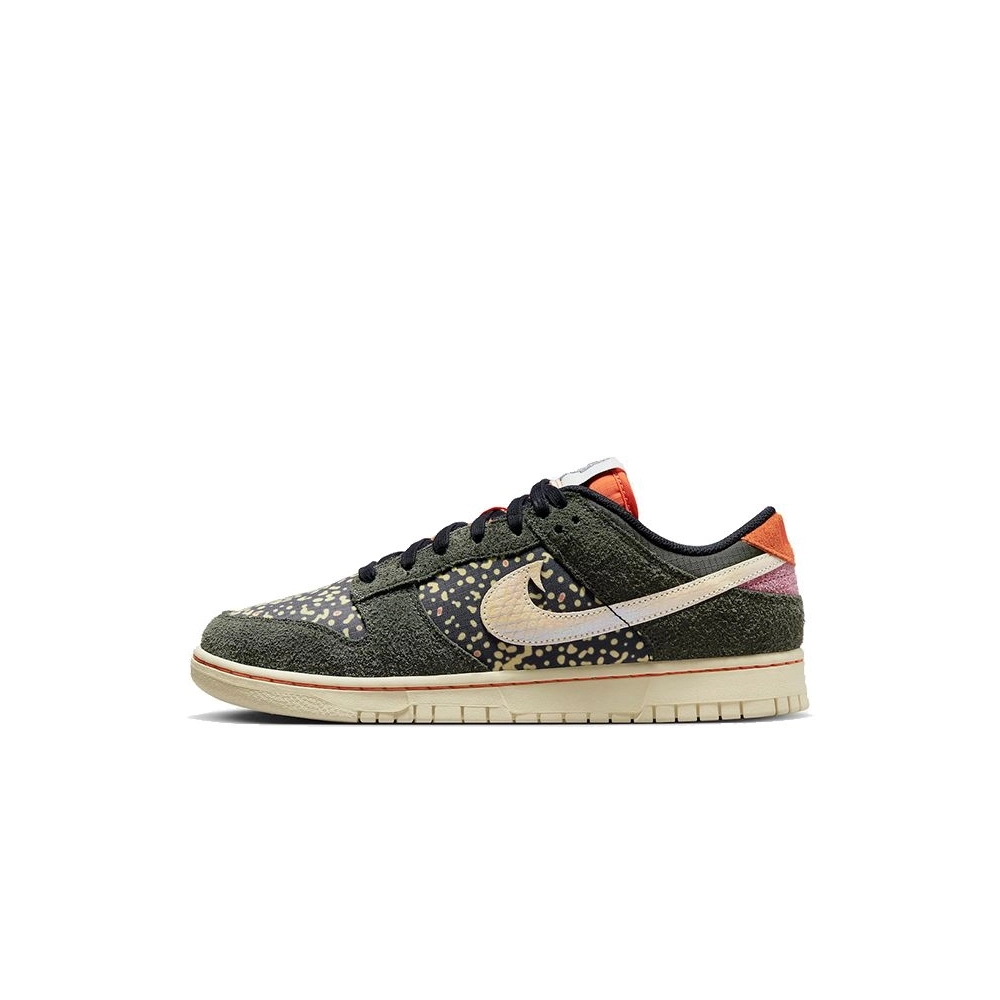 SB DUNK LOW,SB DUNK,NIKE SHOES,FN7523-300
