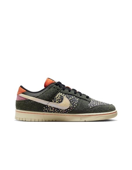 SB DUNK LOW,SB DUNK,NIKE SHOES,FN7523-300