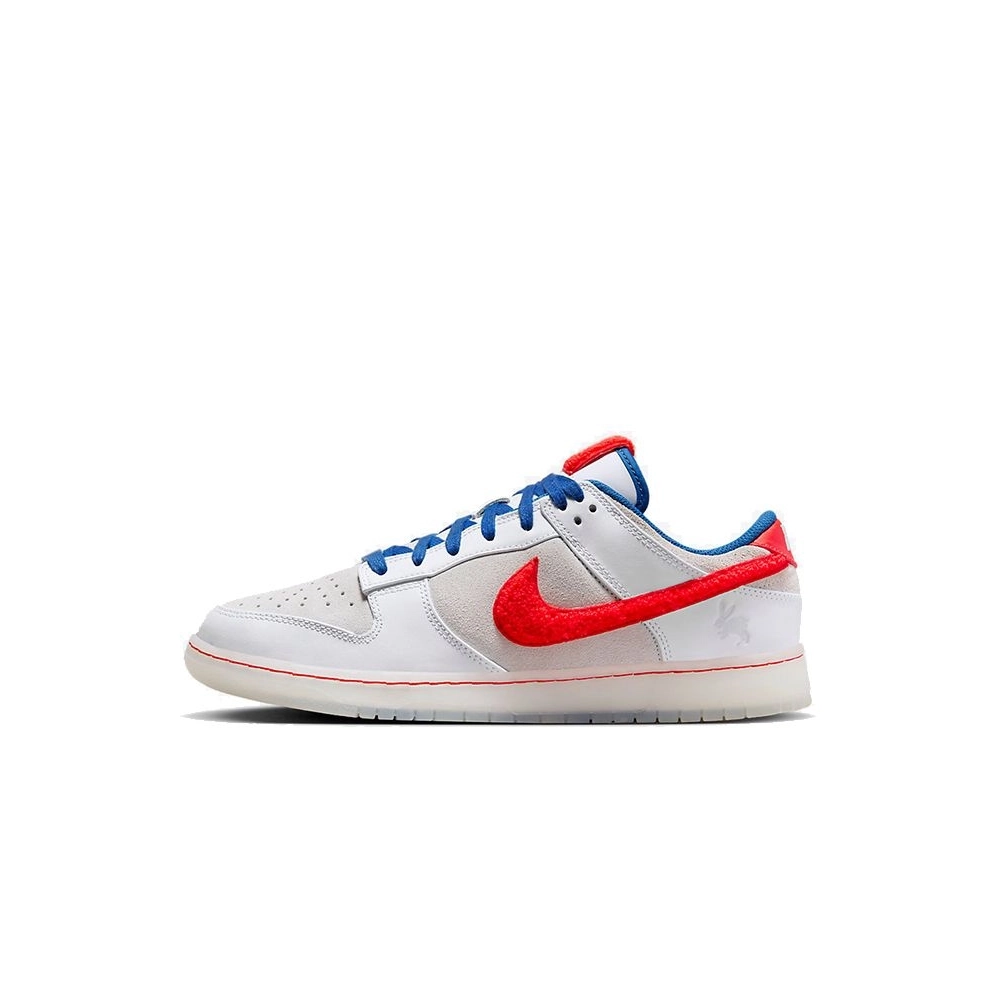 SB DUNK LOW,SB DUNK,NIKE SHOES,FD4203-161