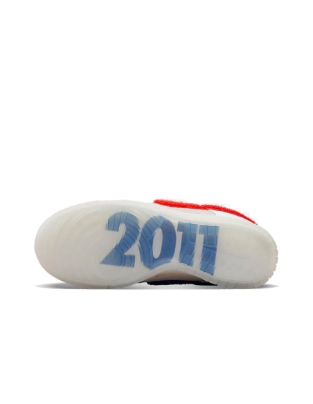 SB DUNK LOW,SB DUNK,NIKE SHOES,FD4203-161