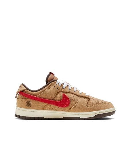 SB DUNK LOW,SB DUNK,NIKE SHOES,FN0317-121