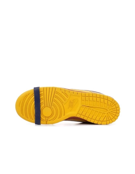 SB DUNK LOW,SB DUNK,NIKE SHOES,313170-137566