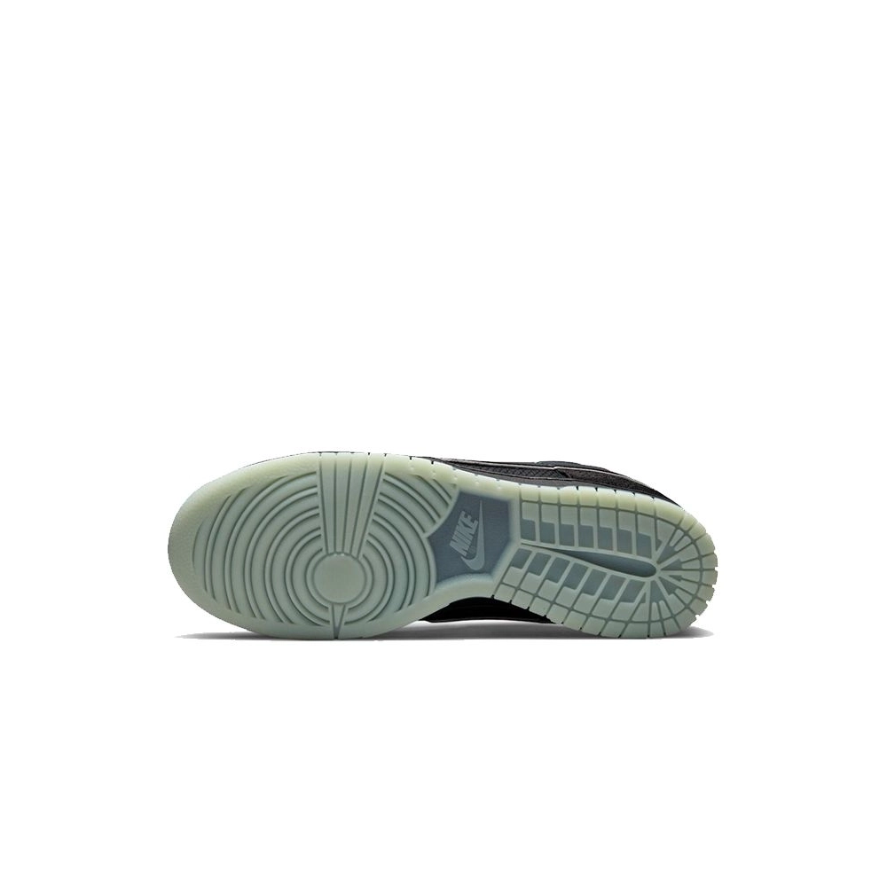 SB DUNK LOW,SB DUNK,NIKE SHOES,DO2327-011