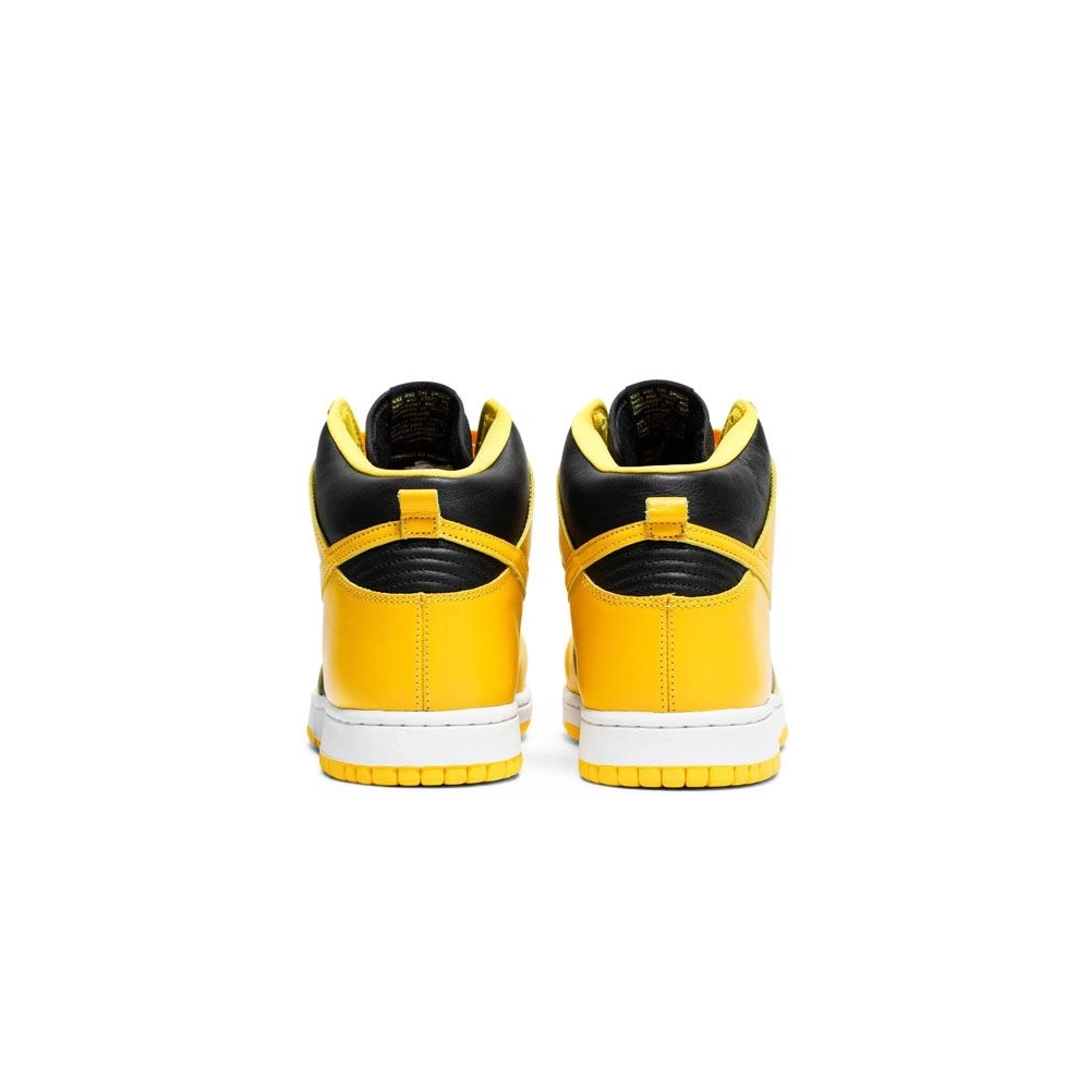 SB DUNK HIGH,SB DUNK,NIKE SHOES,CZ8149-002