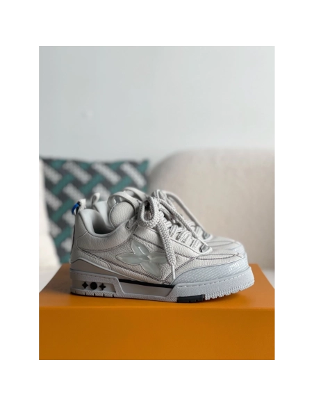Louis Vuitton Skate Sneakers,LOUIS VUITTON