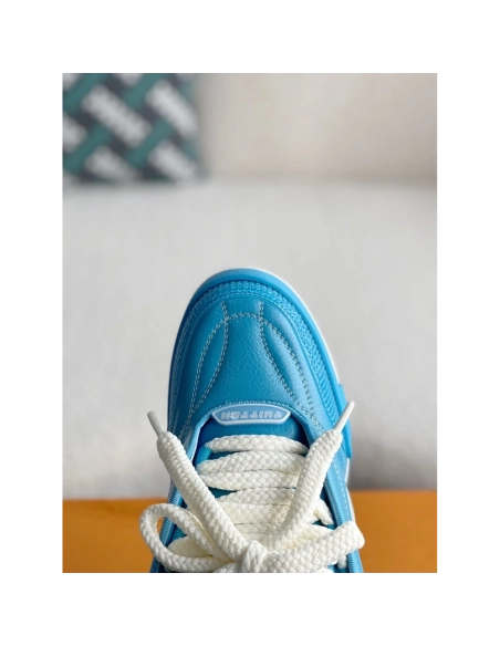 Louis Vuitton Skate Sneakers,LOUIS VUITTON